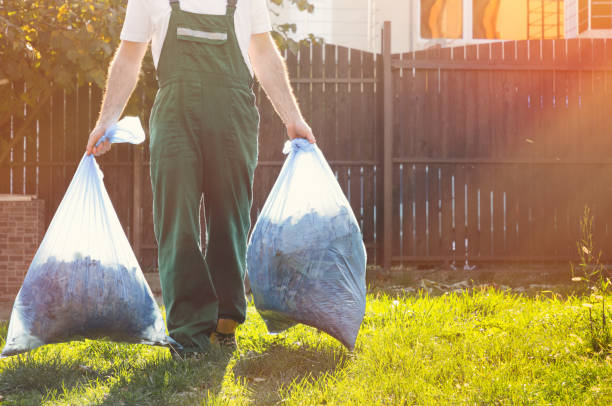 Best Office Junk Removal  in Drexel Heights, AZ