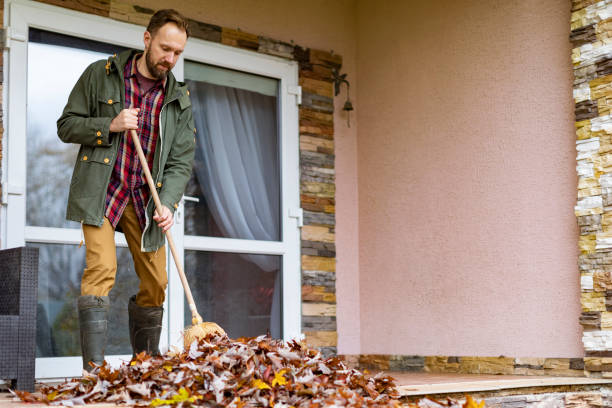 Best Attic Cleanout Services  in Drexel Heights, AZ
